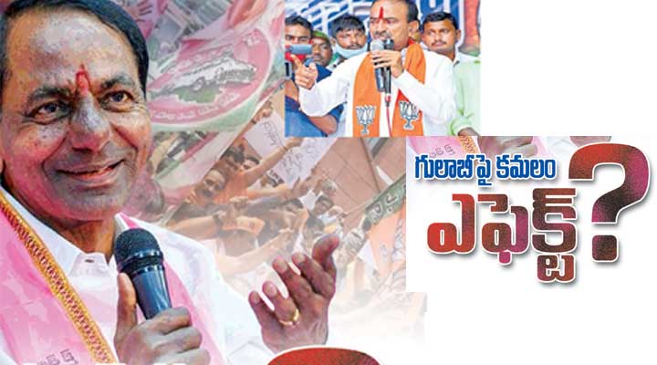 గులాబీపై కమలం ఎఫెక్ట్....! గులాబీపై కమలం ఎఫెక్ట్....!- news10.app