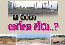 ఈ దందా ఆగేలా లేదు…!