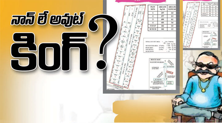 నాన్ లే ఔట్ కింగ్...? నాన్ లే ఔట్ కింగ్...?- news10.app