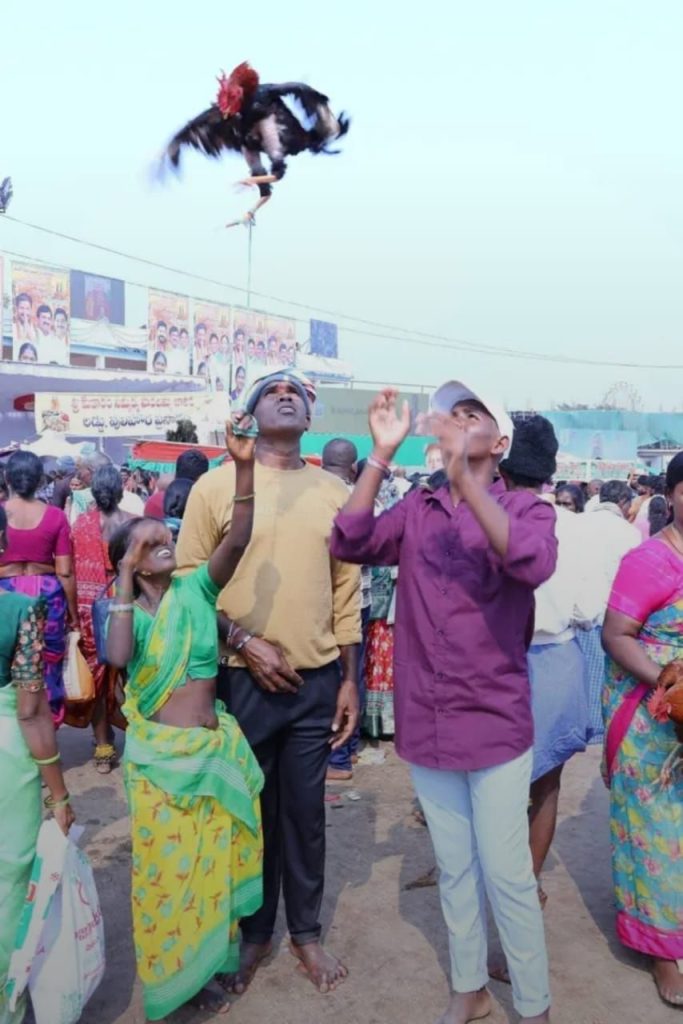 మేడారం శివమూగుతుంది మేడారం శివమూగుతుంది- news10.app
