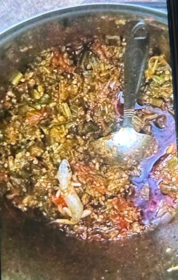 హాస్టల్ భోజనంలో బల్లి హాస్టల్ భోజనంలో బల్లి- news10.app
