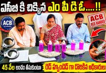 ఏసీబీ కి చిక్కిన ఎం పి డి ఓ