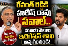 రేవంత్ రెడ్డికి హరీష్ రావు సవాల్.. మూడు నెలలు ఇరిగేషన్ శాఖ అప్పగించు !